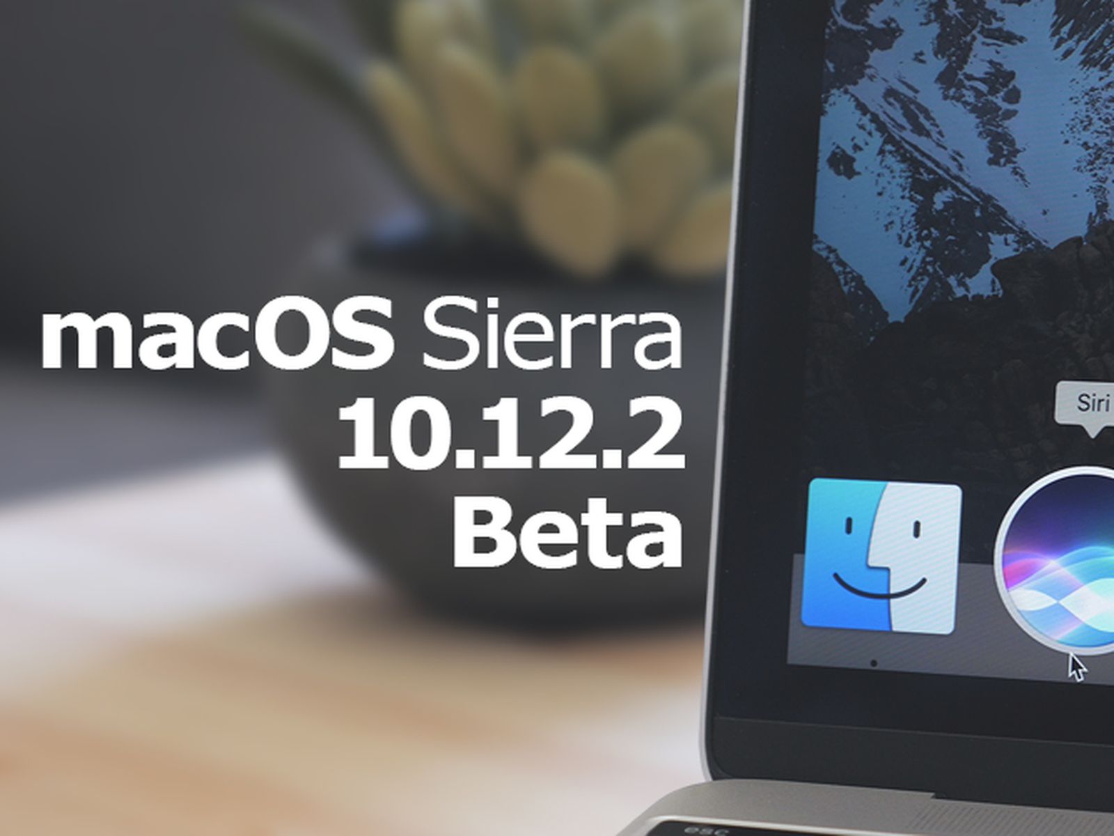 2017 best photo software for mac os sierra 10.12.2