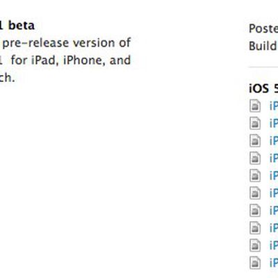 501beta