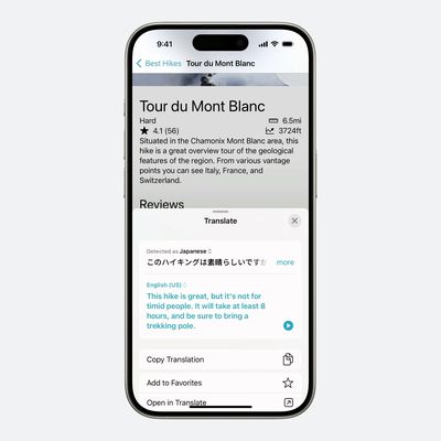 iOS 17 4 Translate App API