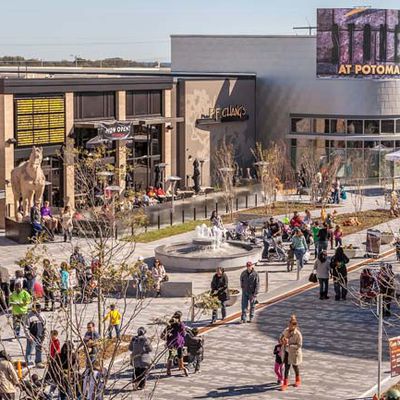 MacRumors content image