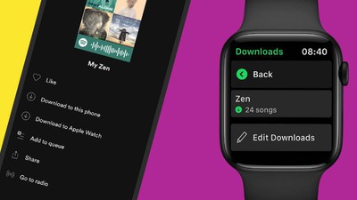 spotify offline playback apple watch