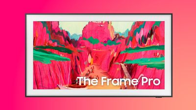 the frame pro pink