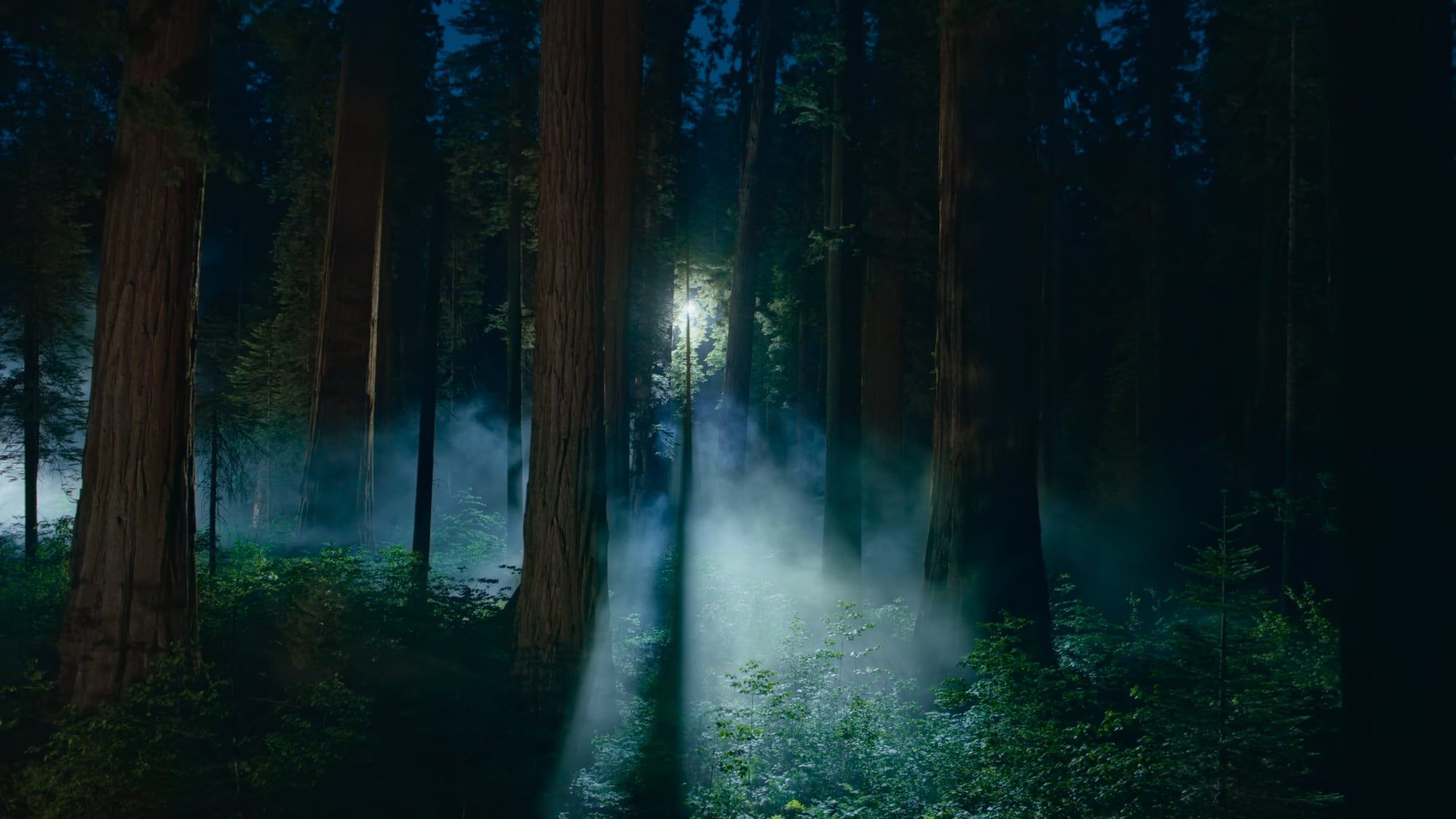 Latest macos sequoia betas add new wallpapers macrumors