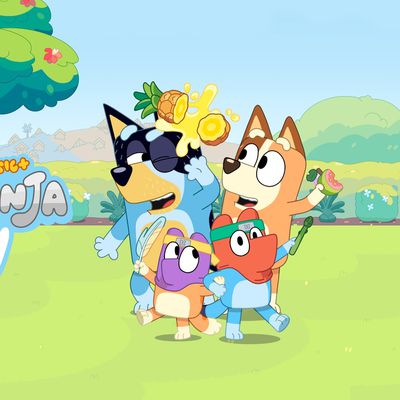 Fruit Ninja Bluey Key Art