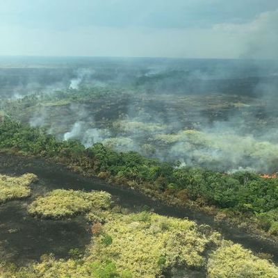 amazonrainforestfire