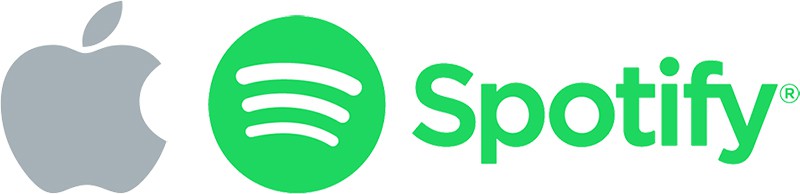 timer on spotify