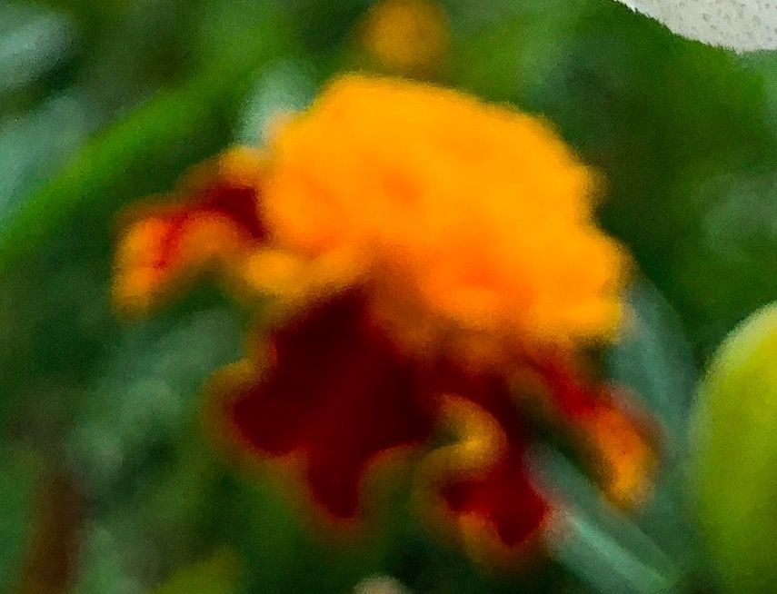 Attachment Image