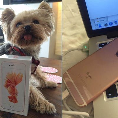 iPhone 6s First Customer