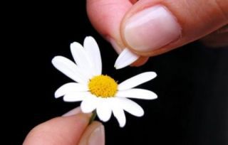 Attachment Image