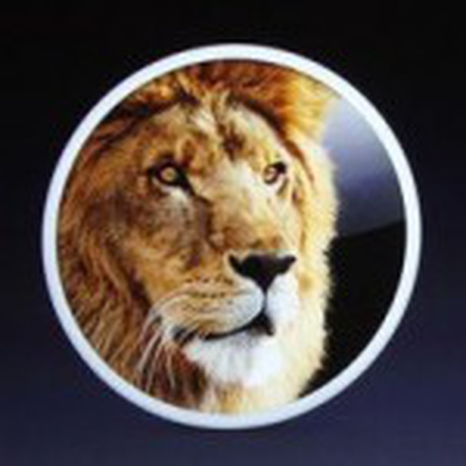 database for mac lion