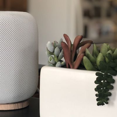 homepod kitchen 3