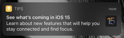 ios 15 previewtips