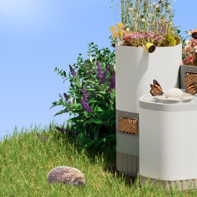 wonder insect camera
