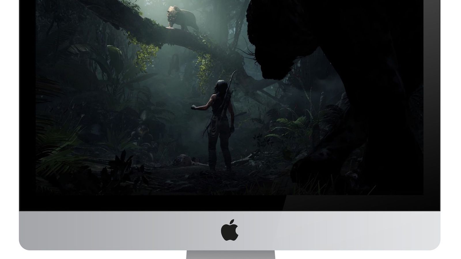  Rise of the Tomb Raider: 20 Year Celebration - PlayStation 4 :  Square Enix LLC: Video Games