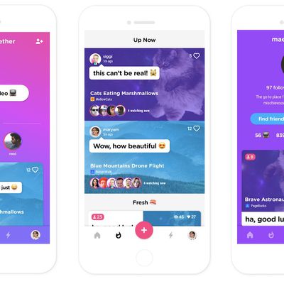 google uptime update