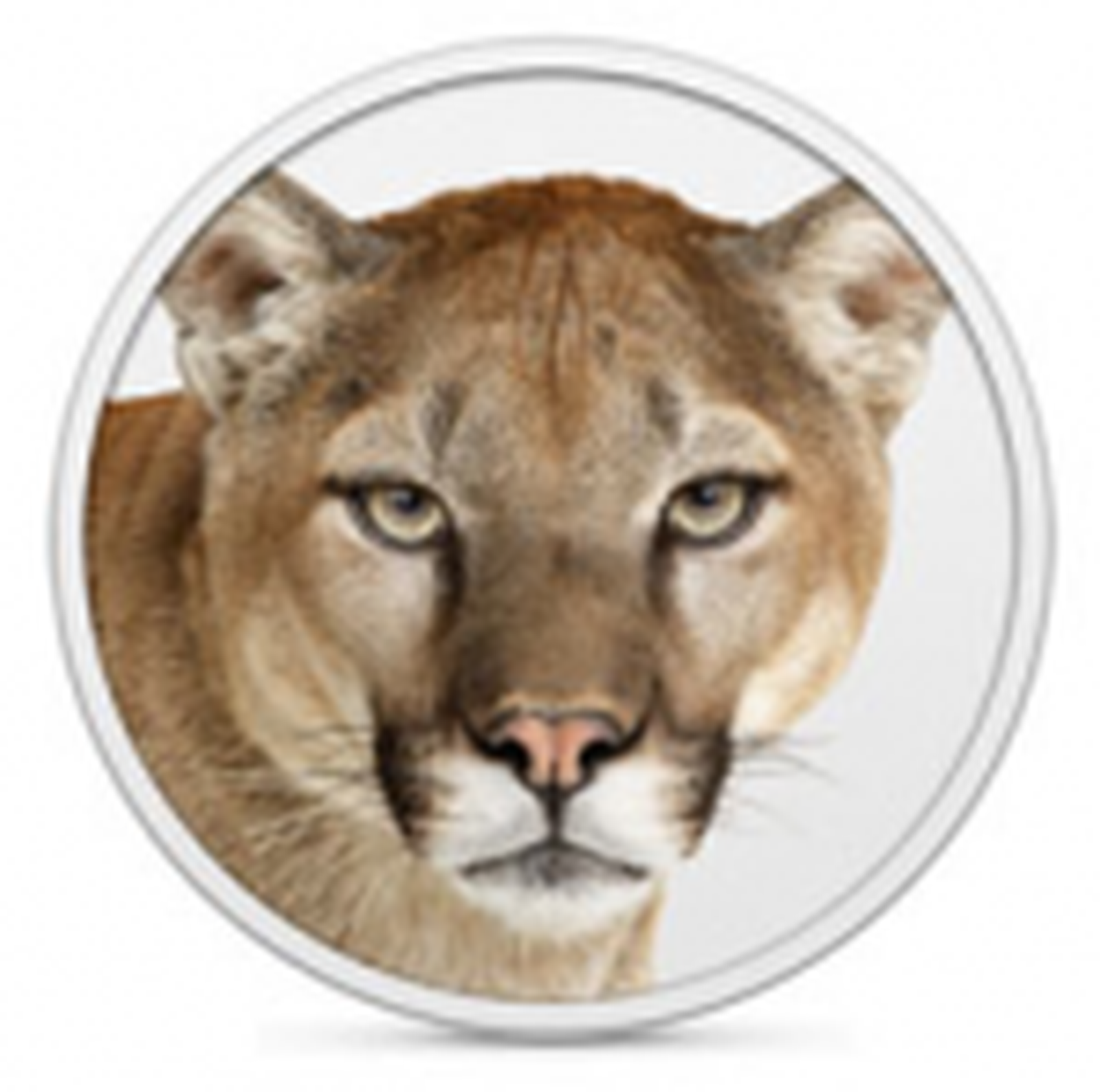 Adobe and Avid Report Only Minor Issues With Mountain Lion - MacRumors