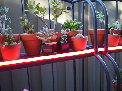 Philips Hue Lightstrip Outdoor Review