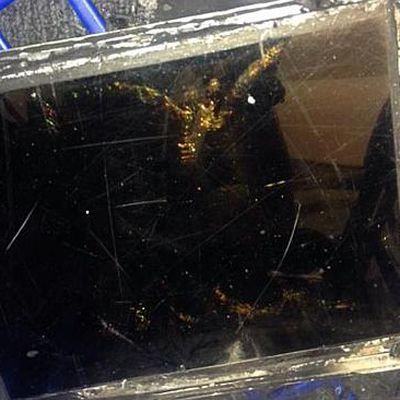 MacRumors content image