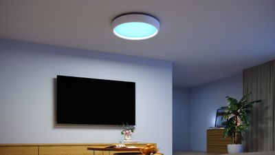govee sky ceiling light