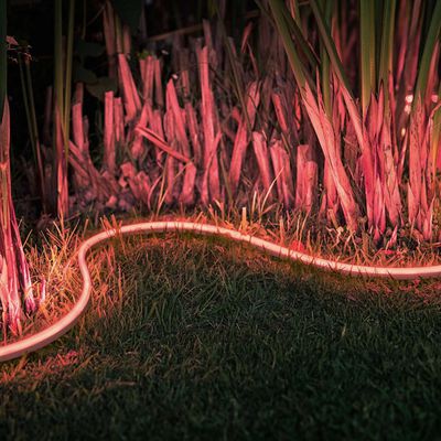 MacRumors content image