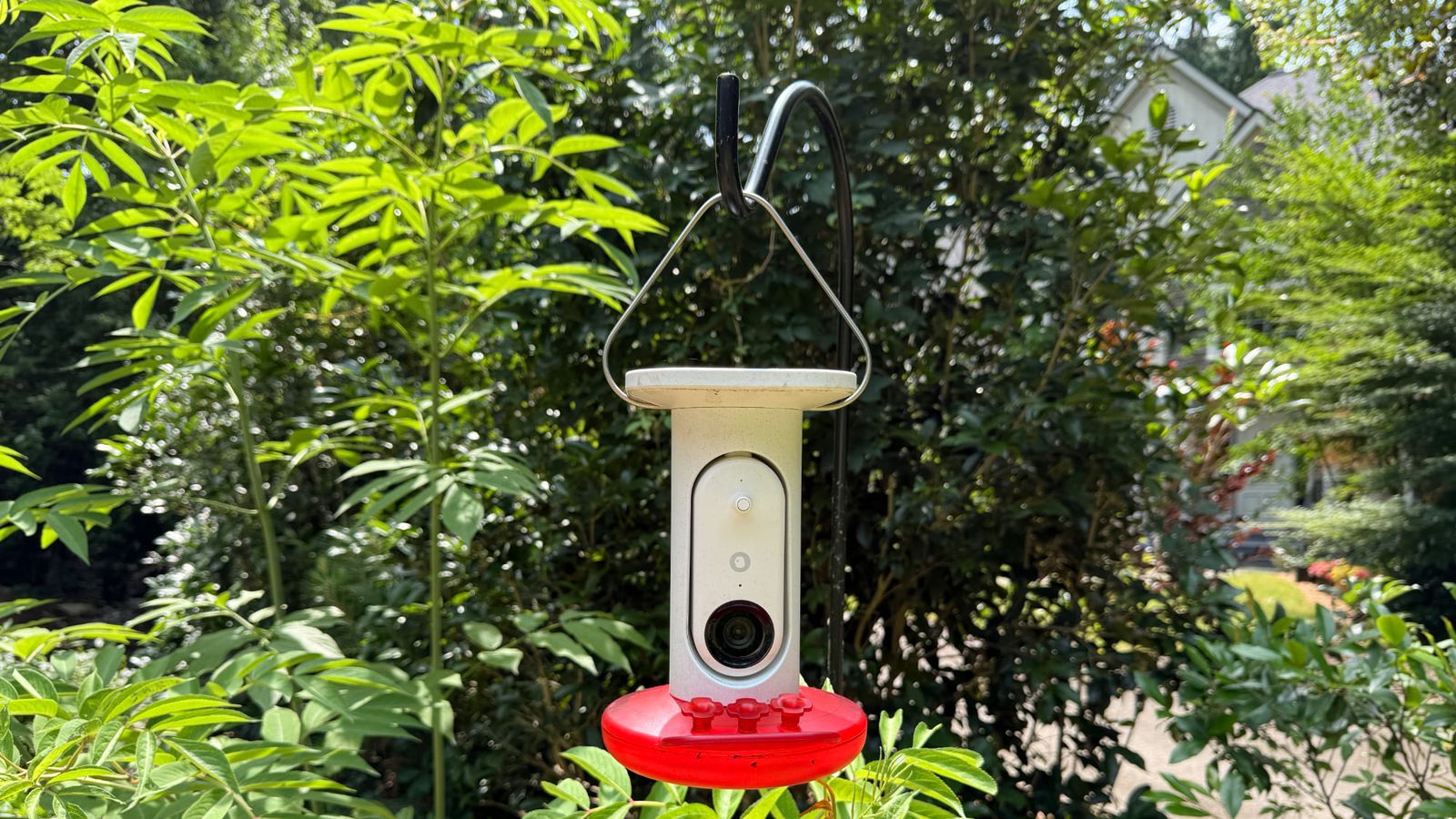 Bird Buddy Hummingbird Feeder Pro Review - MacRumors