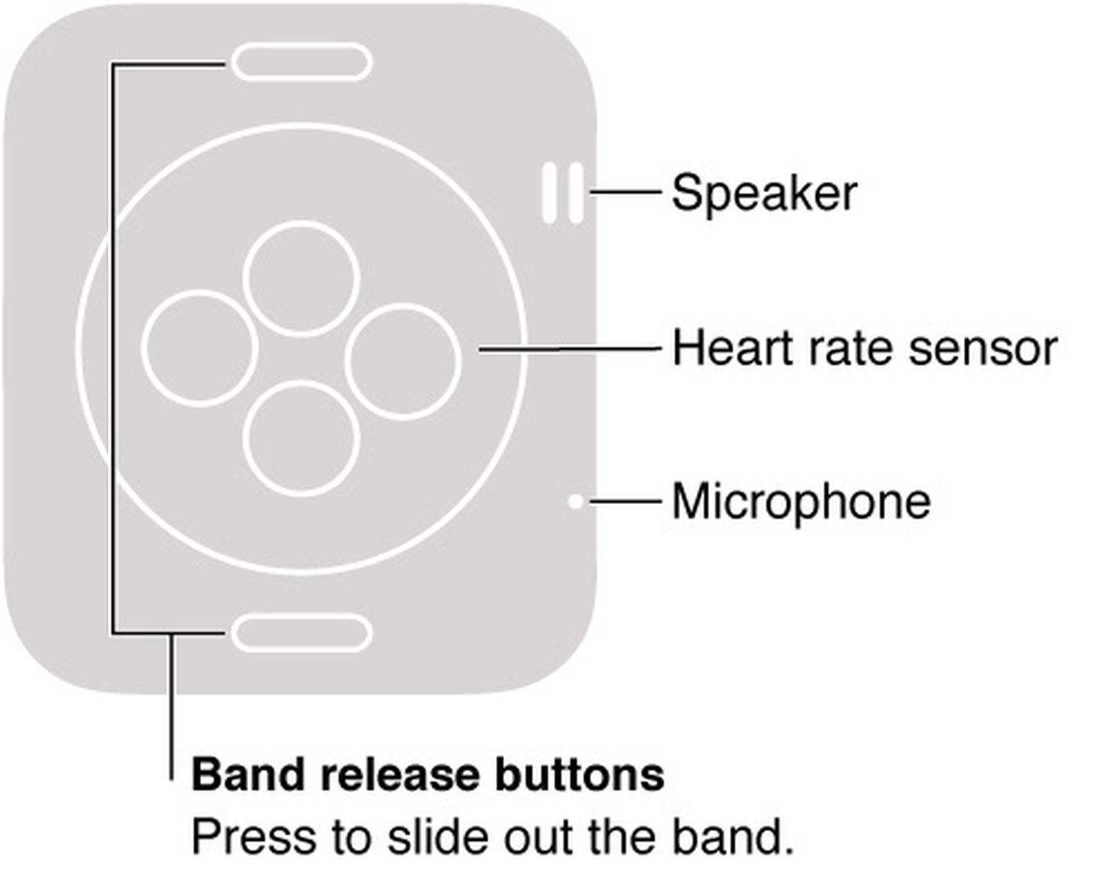 Picture of Gizmodo | The Future Is Here