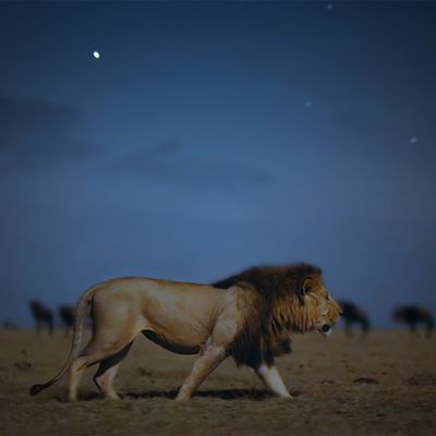 earthatnight