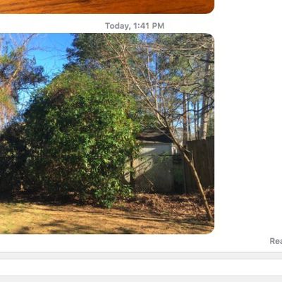 live photo mac messages 1