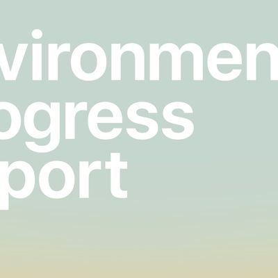 environmental progress report 2021