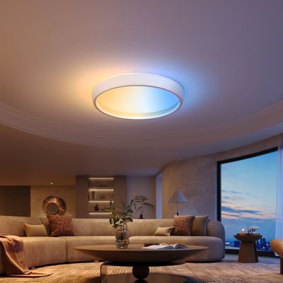 govee ceiling light