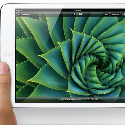 ipad mini display