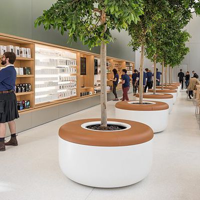 apple store new look