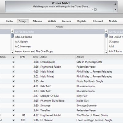 itunes match error