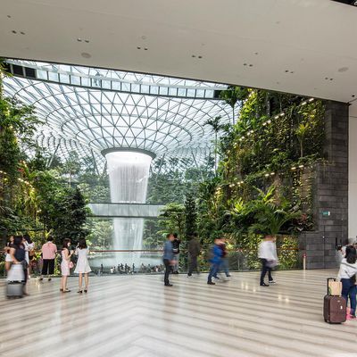 apple jewel changi airport singapore