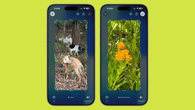 ios 26 visual intelligence identification