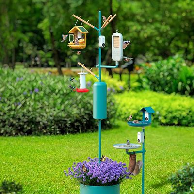 bird buddy pole
