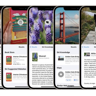 ios 15 visual lookup
