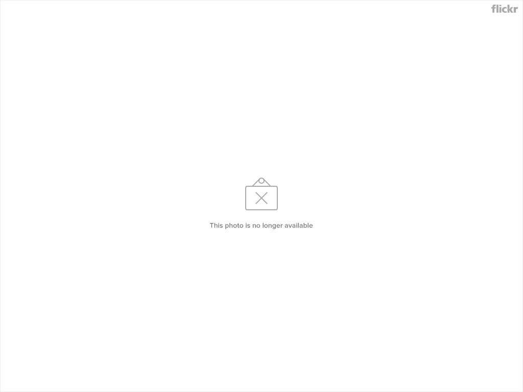 MacRumors content image