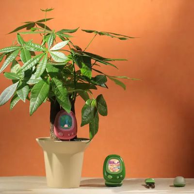 ces 2026 senso plant sensor
