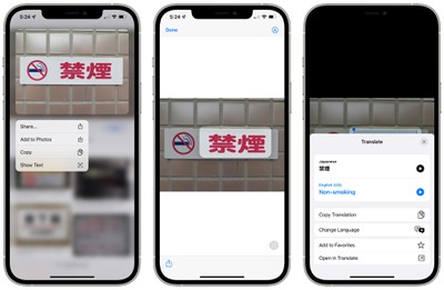 safari translate live text interface