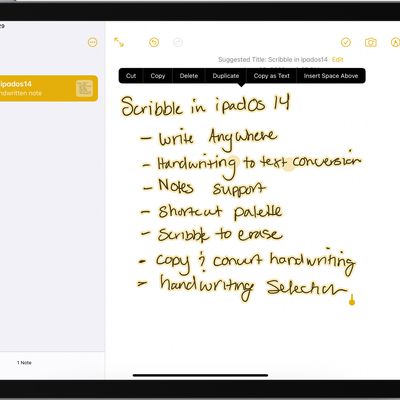 ipados14scribblecopyastext
