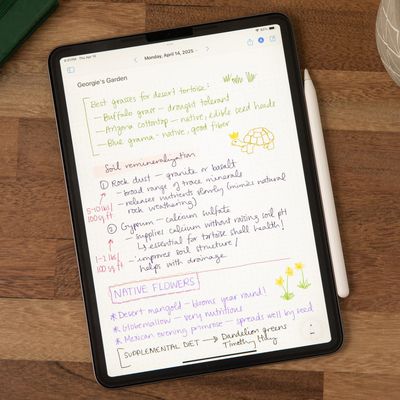 rock daily planner main