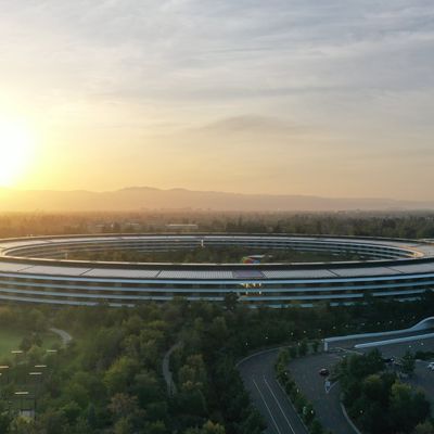 apple park sunset