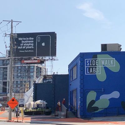 MacRumors content image