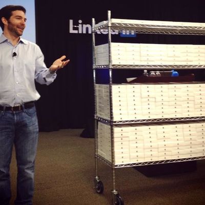 linkedinminis