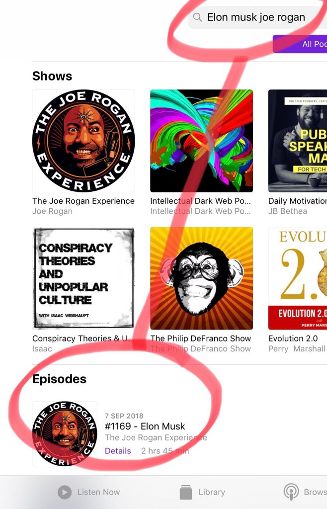 MacRumors content image
