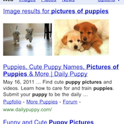 google search results old1