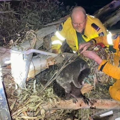 australiafires