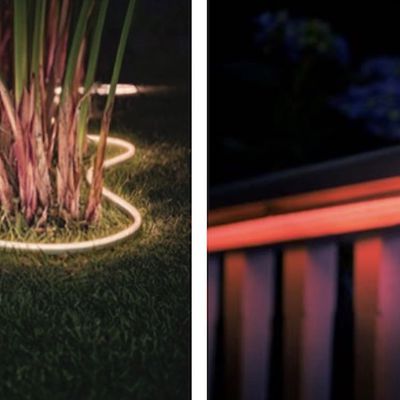 MacRumors content image