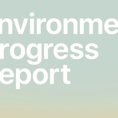 environmental progress report 2021